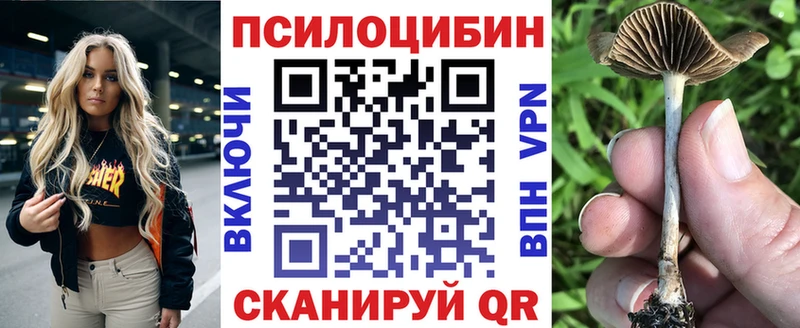 mega сайт  купить  цена  Нижний Тагил  сайты даркнета Telegram  Галлюциногенные грибы мицелий 
