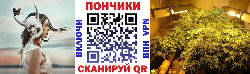 купить наркоту  мега зеркало  Бошки Шишки Ganja  Нижний Тагил 